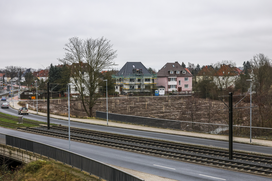 Baumpflanzungen in Richtung Hemmingen